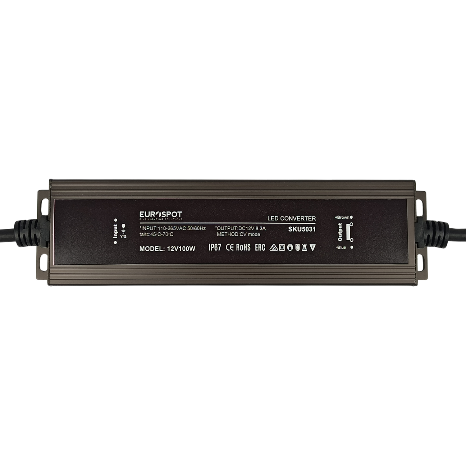SKU5031-12V100W