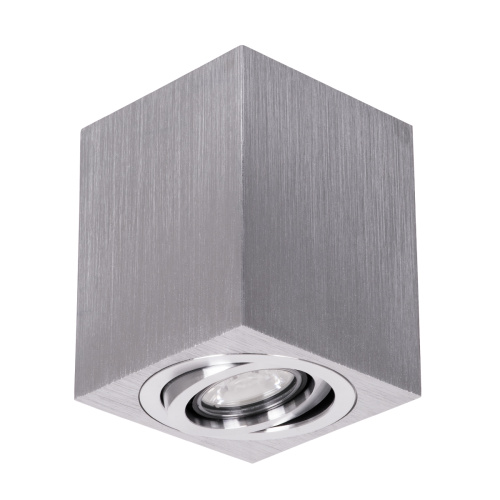 GLOBOSTAR® AKIRA 60623 Κινούμενο Φωτιστικό Downlight Σποτ με Ντουί 1 x GU10 AC 220-240V IP44 - Ασημί - Μ8 x Π8 x Υ10cm